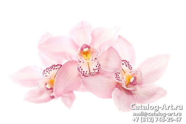 Натяжные потолки с фотопечатью - Розовые орхидеи 55